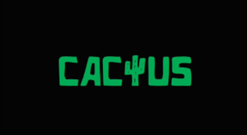 Cactus Casino Review